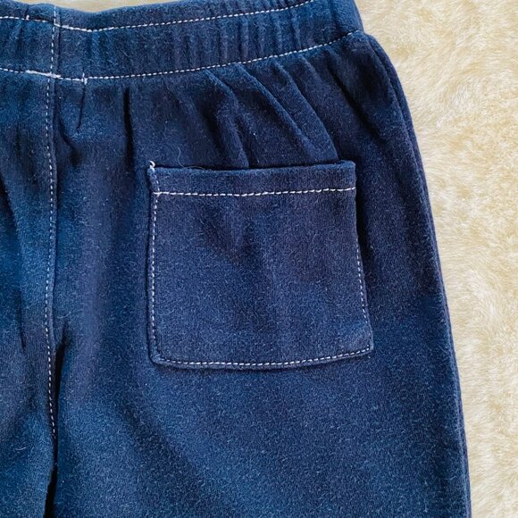 Boy Toddler Pit Bull Terrier Dog PJ Loungewear Set Size 24 months Kite Strings - Picture 10 of 11